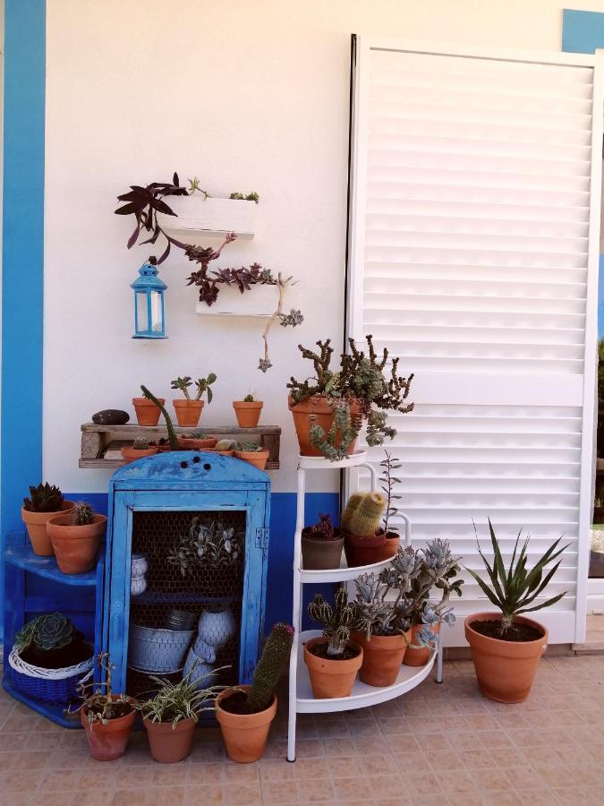 Endless Summer Surf House Aljezur Bagian luar foto